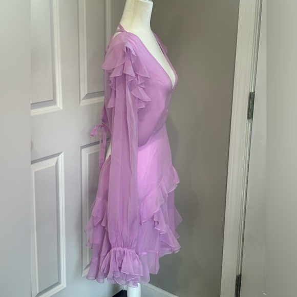 Angelance New York Silk Chiffon Dress - Picture 6 of 14